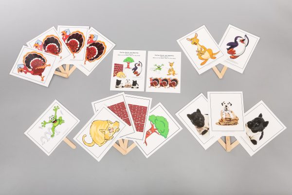 "RFT! Video Star" Large Class Card Set  (90 Cards) 5"x8" to 8.5"x11" - Image 8